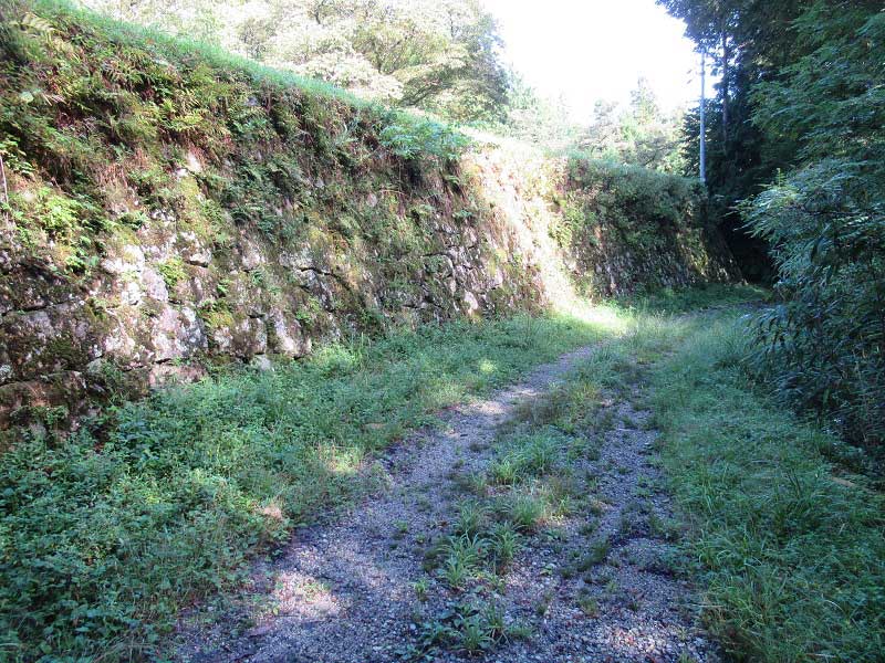 岩村城跡・飯羽間城跡一斉清掃（秋）について