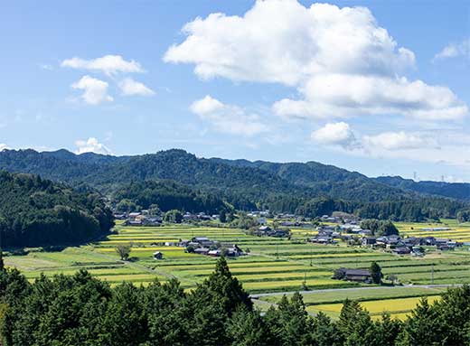 農村景観日本一の地