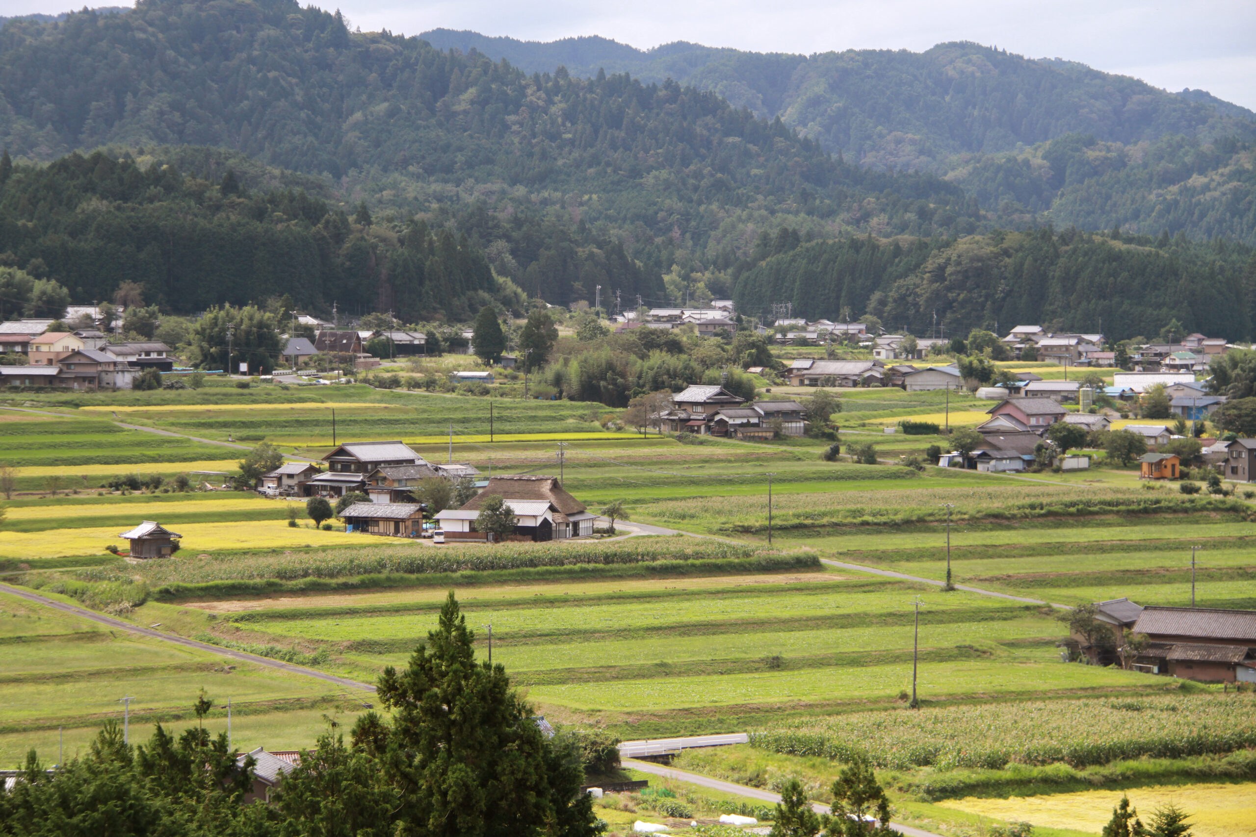 農村景観日本一の地